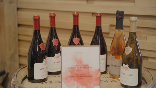 ディジョンメトロポール特産ワイン（シャトー・ドゥ・マルサネ）