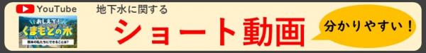 ショート動画