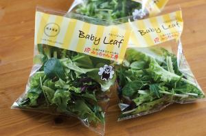 ベビーリーフ