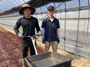 畑に有機肥料をまく様子（写真）