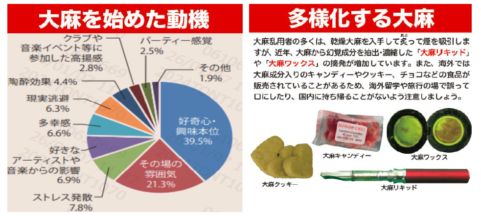 グラフ　大麻　同期