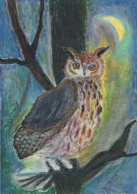 金賞　小松さん