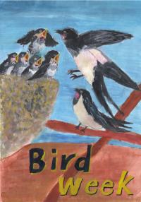 銀賞　内藤さん