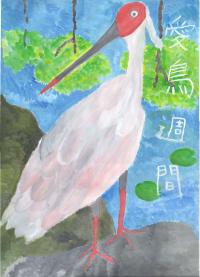 銅賞　河野さん