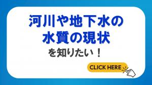水質の状況