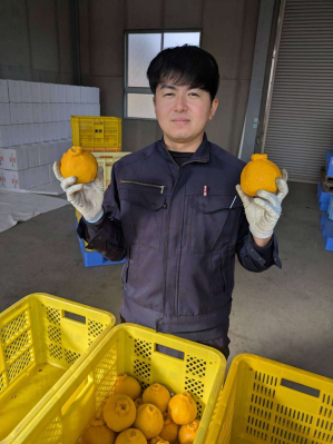正面