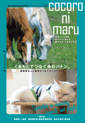 獣医師採用パンフ転職希望者向け