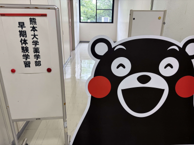 早期体験学習