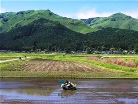 動画3