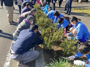 児童や来賓等がツツジの全体植樹を行っている状況