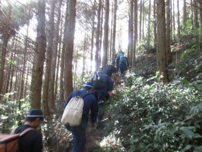 山の険しい道を登っている様子その1