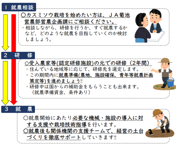 就農の流れ