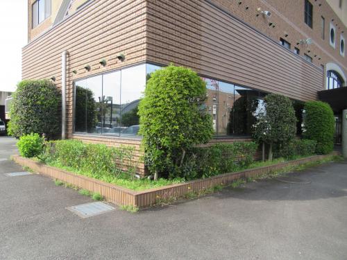 除草作業を実施する前の状況