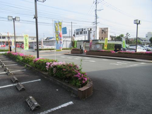 除草作業を実施する前の状況2