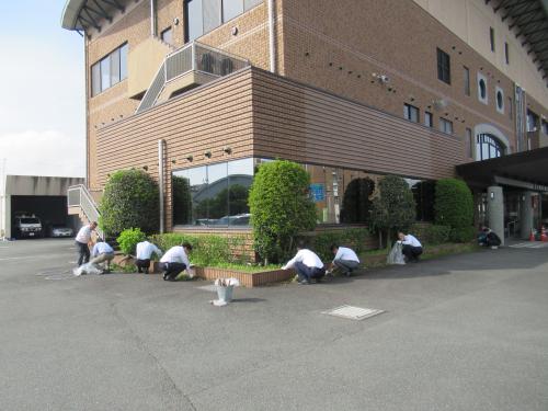 署員が除草作業をする状況