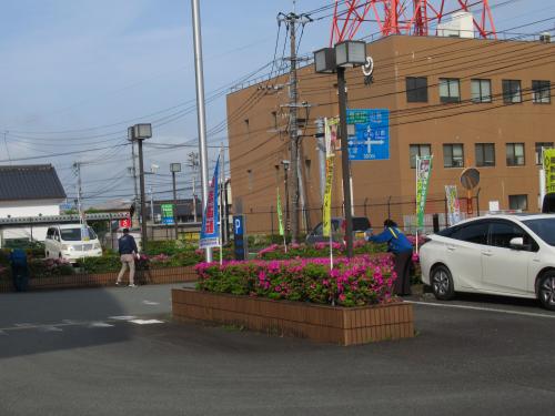 署員が除草作業をする状況2
