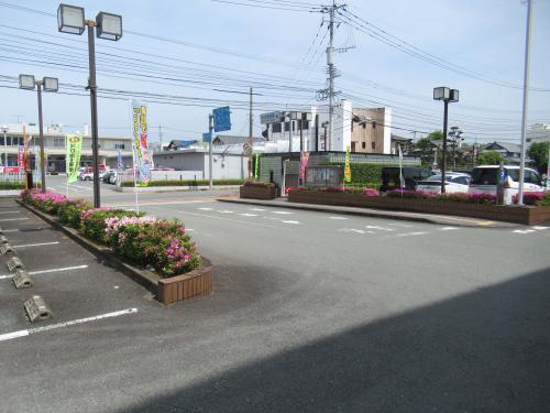 除草作業を実施後の状況2