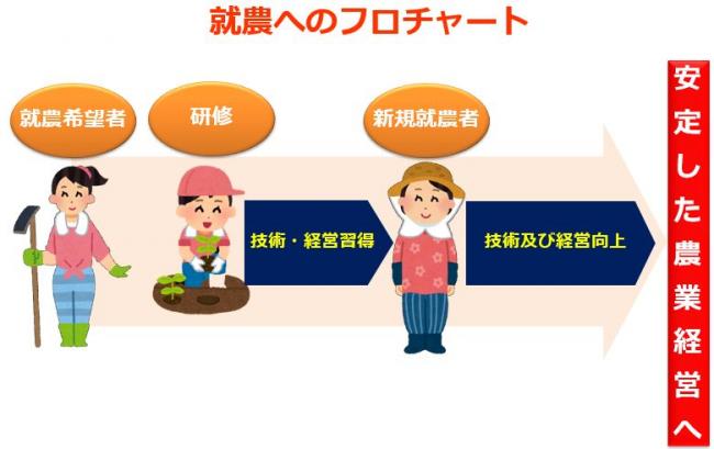 就農の流れ