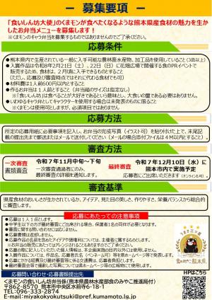 募集チラシ（裏面）
