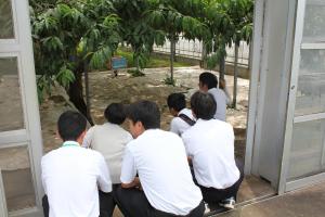圃場見学2