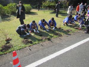 参加した児童たちがミツバツツジを植えている